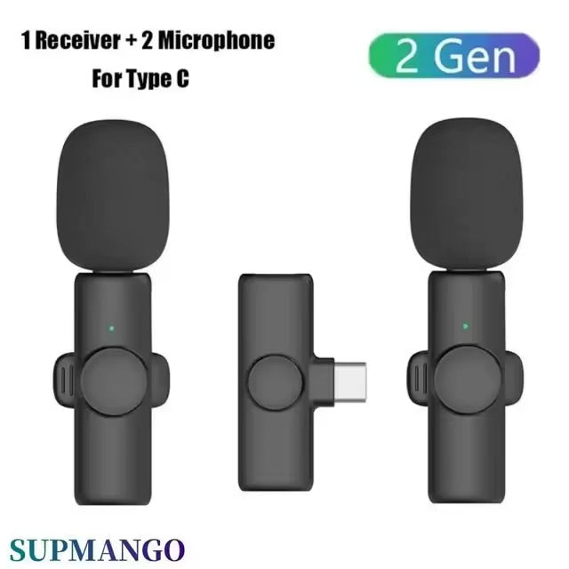 Professional Wireless Microphone