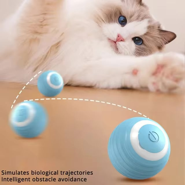 Interactive Cat Ball