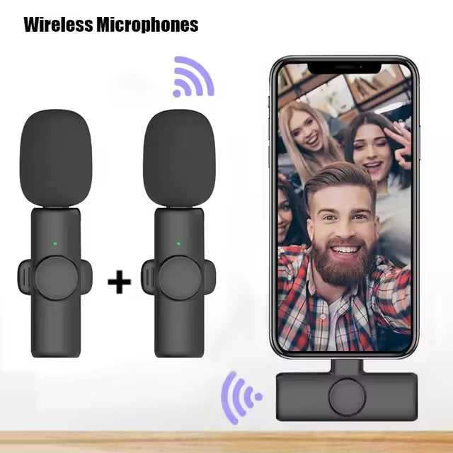 Professional Wireless Microphone