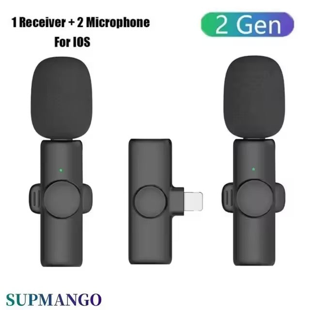 Professional Wireless Microphone