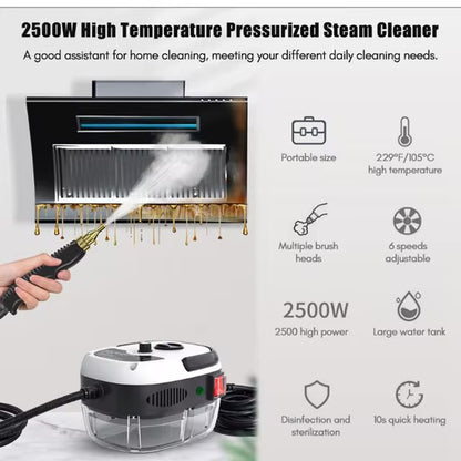 Steam Cleaner High Temperature